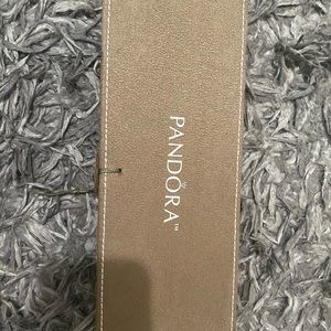 Pandora jewelry box